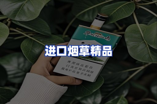 进口烟草产品